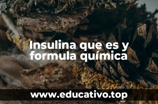 Insulina que es y formula química