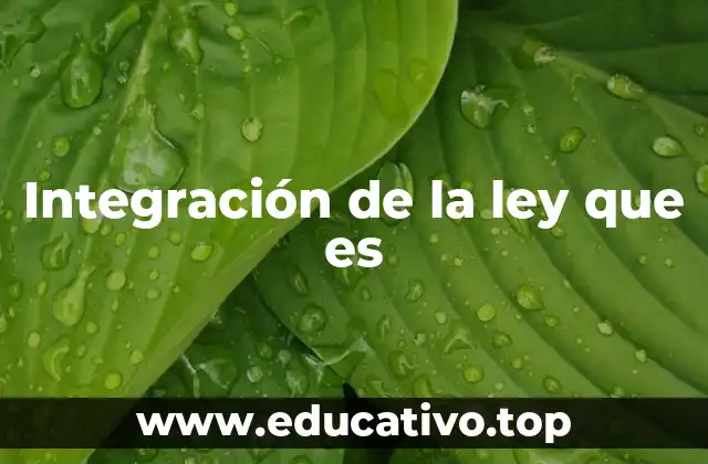 Integración de la ley que es
