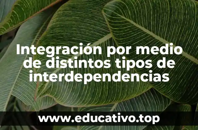 Integración por medio de distintos tipos de interdependencias
