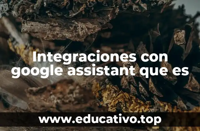 Integraciones con google assistant que es