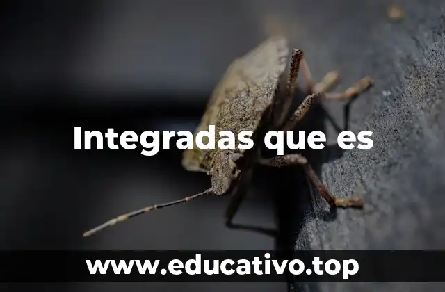 El papel de lo integrado en la sociedad moderna