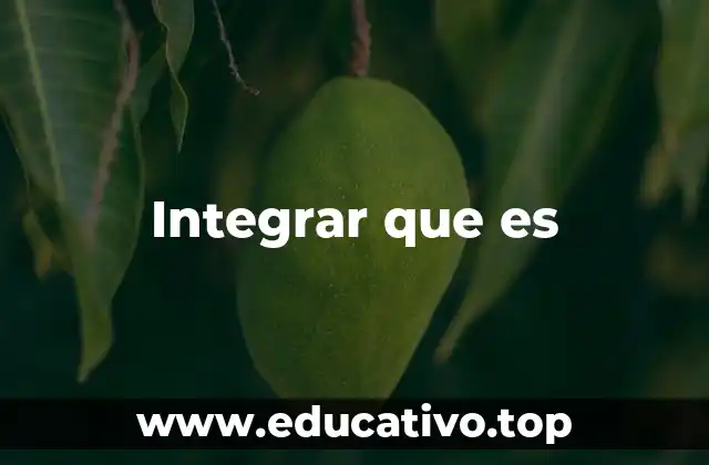 Integrar que es