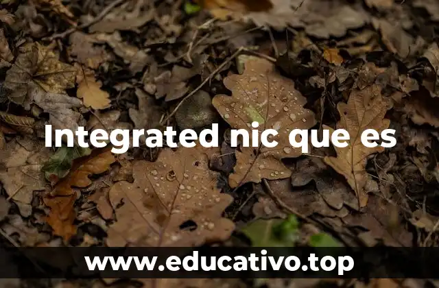 Integrated nic que es