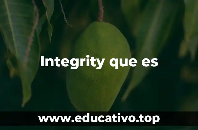 Integrity que es