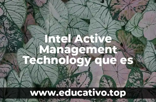 Intel Active Management Technology que es