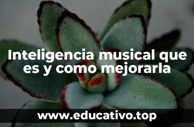 Inteligencia musical que es y como mejorarla