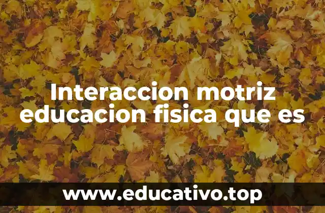Interaccion motriz educacion fisica que es