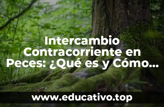 Intercambio Contracorriente en Peces: ¿Qué es y Cómo Funciona?