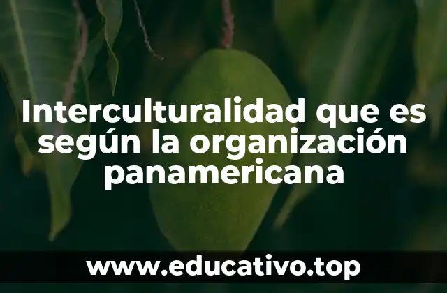 Interculturalidad que es según la organización panamericana