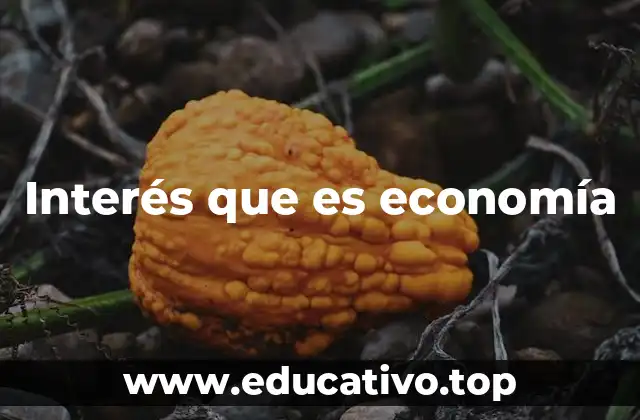 Interés que es economía