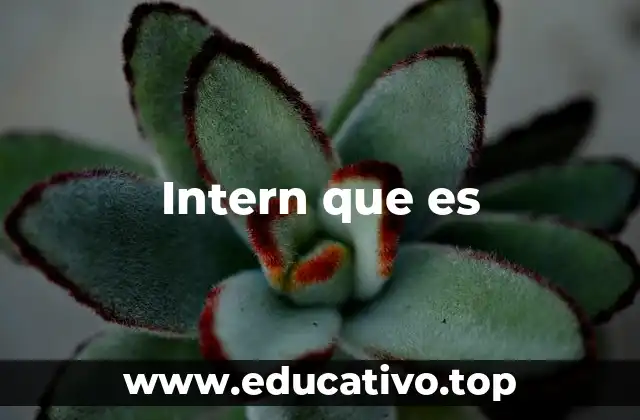 Intern que es