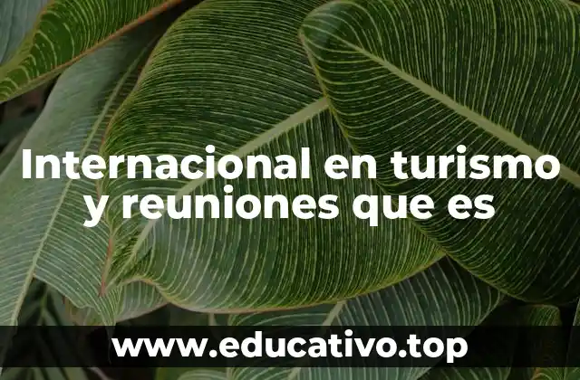 Internacional en turismo y reuniones que es