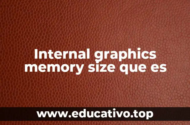 Internal graphics memory size que es