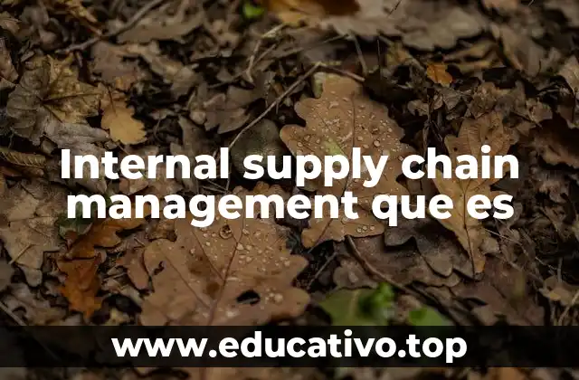 Internal supply chain management que es