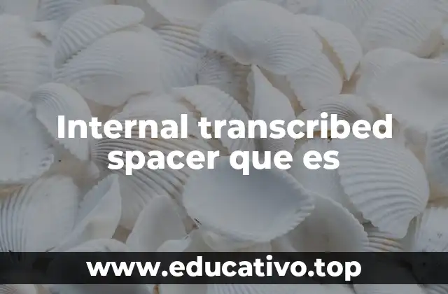 Internal transcribed spacer que es