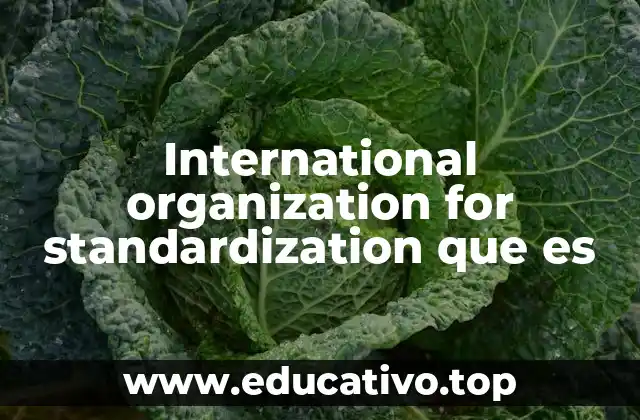 International organization for standardization que es