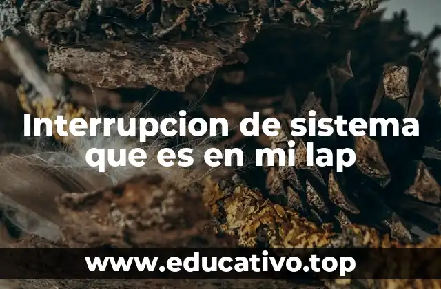 Interrupcion de sistema que es en mi lap