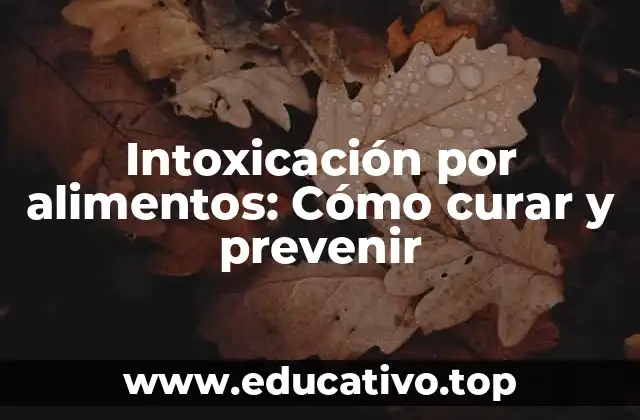 Intoxicación por alimentos: Cómo curar y prevenir