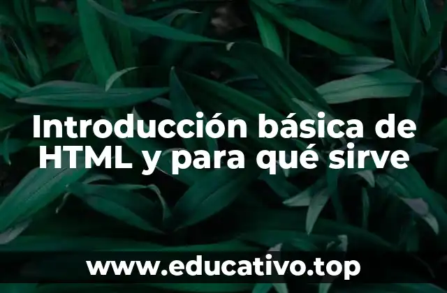 Introducción básica de HTML y para qué sirve