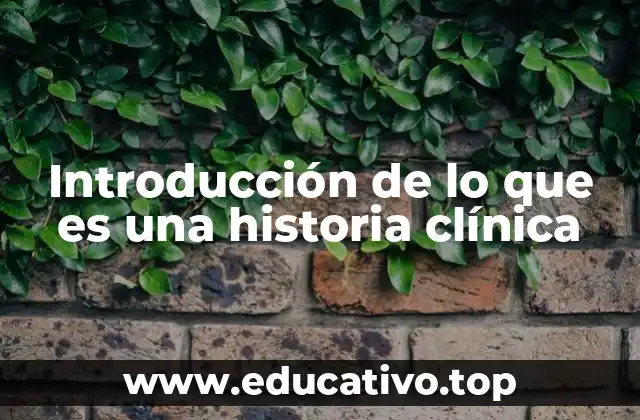 Introducción de lo que es una historia clínica