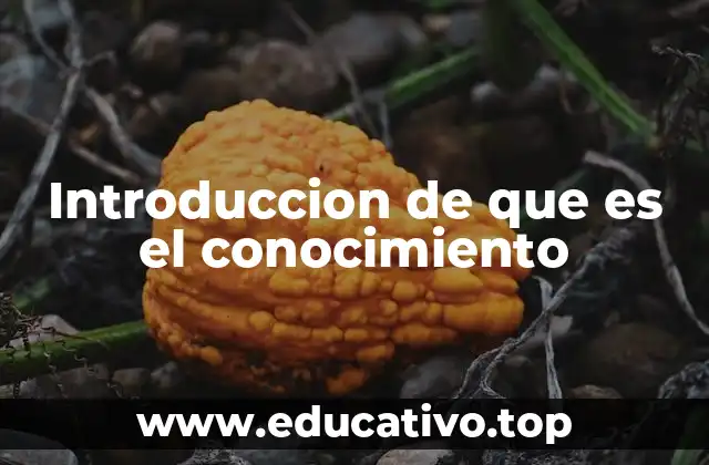 Introduccion de que es el conocimiento