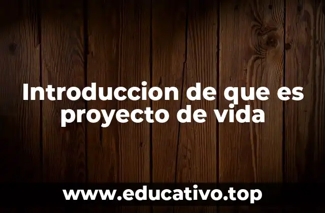 Introduccion de que es proyecto de vida