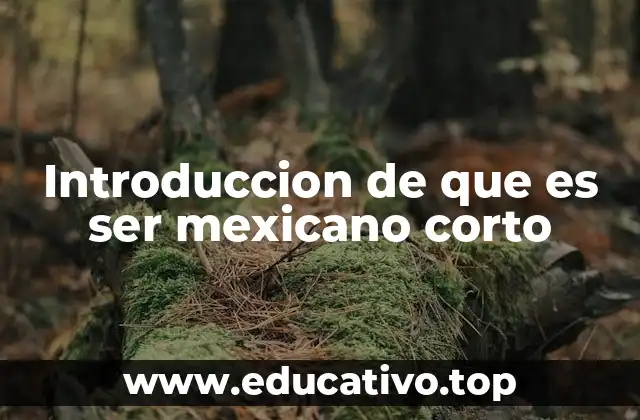 Introduccion de que es ser mexicano corto
