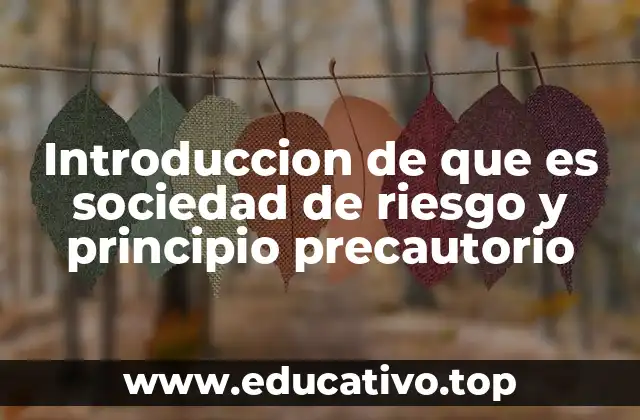 Introduccion de que es sociedad de riesgo y principio precautorio
