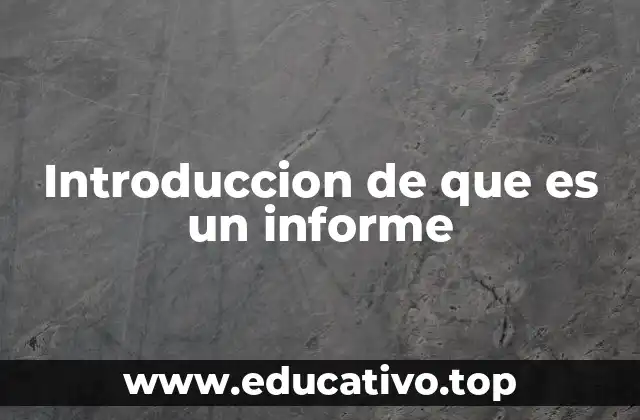 Introduccion de que es un informe