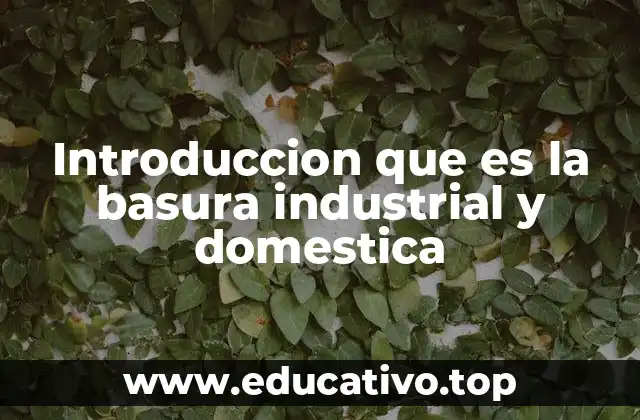 Introduccion que es la basura industrial y domestica