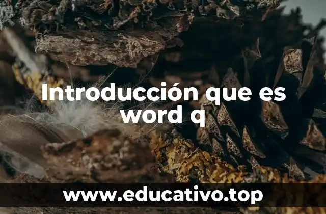 El impacto de Word en la productividad moderna