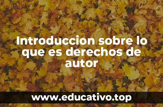 Introduccion sobre lo que es derechos de autor