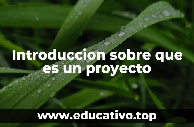Introduccion sobre que es un proyecto