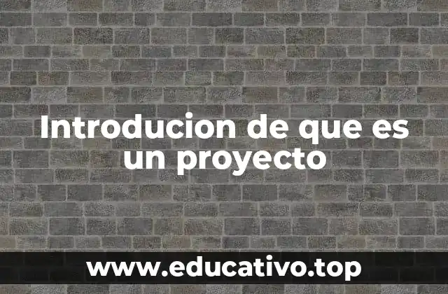 Introducion de que es un proyecto