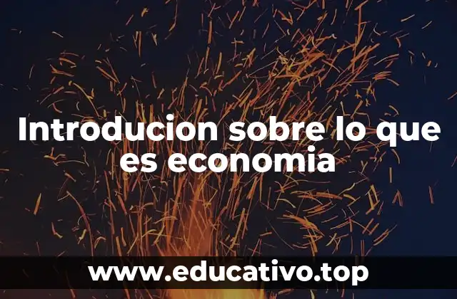 Introducion sobre lo que es economia