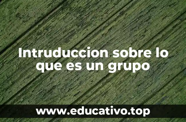 Intruduccion sobre lo que es un grupo