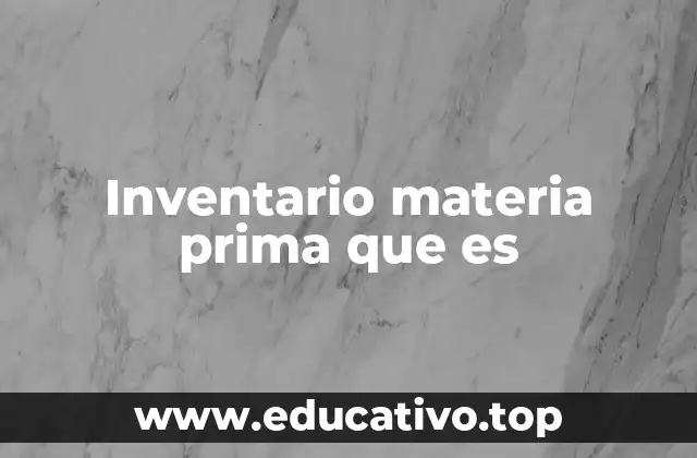 Inventario materia prima que es