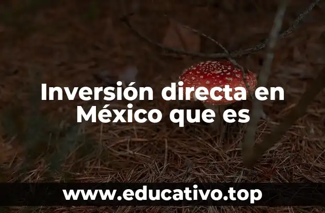 El impacto de la inversión extranjera en la economía nacional