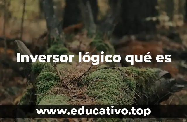 Inversor lógico qué es
