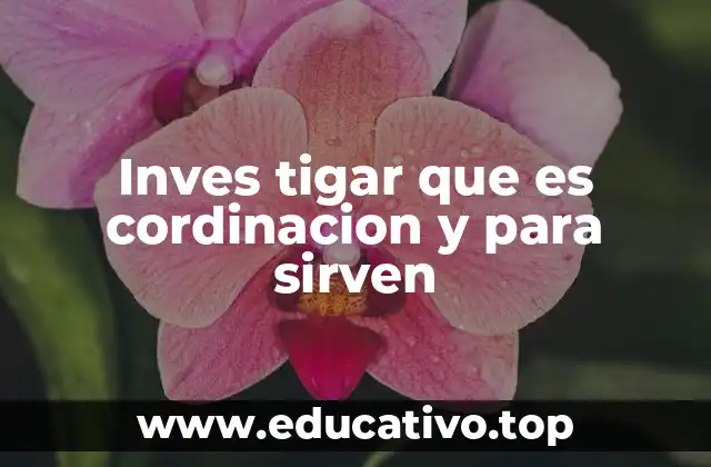 Inves tigar que es cordinacion y para sirven