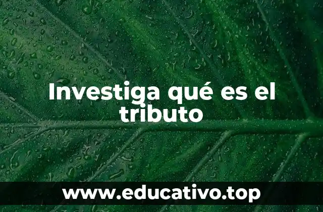 Investiga qué es el tributo