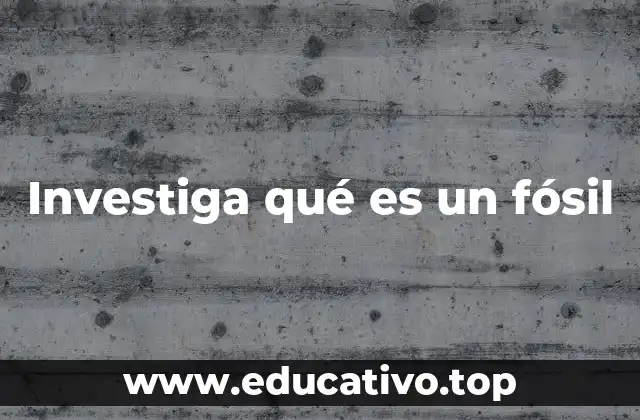 Investiga qué es un fósil