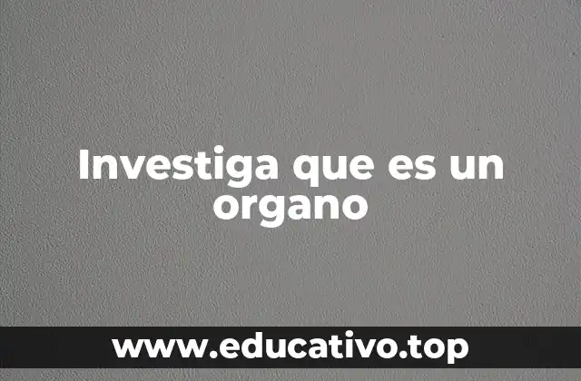 Investiga que es un organo