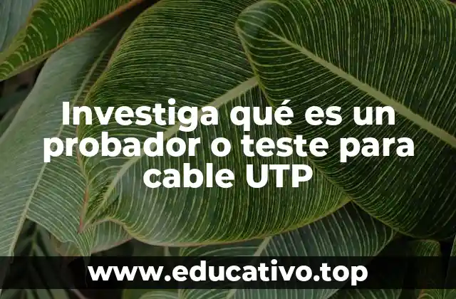Investiga qué es un probador o teste para cable UTP