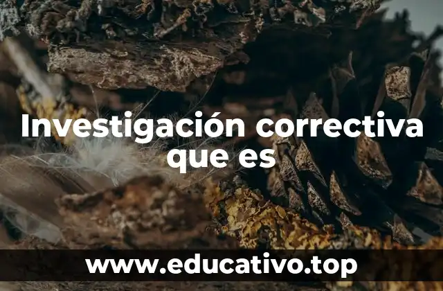 Investigación correctiva que es