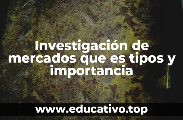 Investigación de mercados que es tipos y importancia