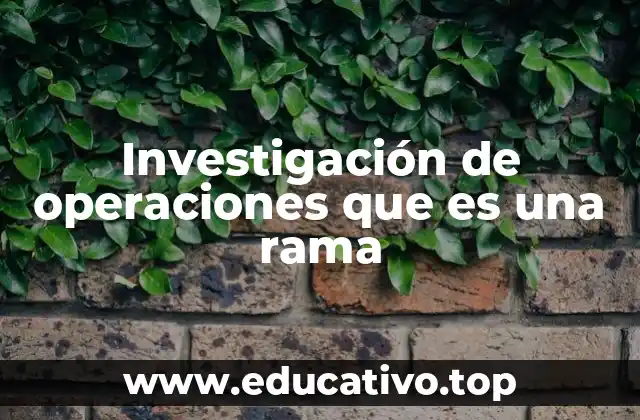 Investigación de operaciones que es una rama