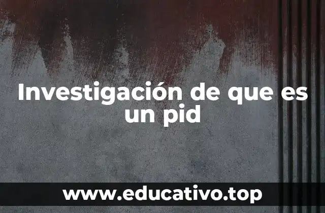 Investigación de que es un pid