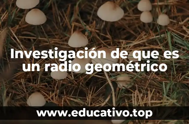 Investigación de que es un radio geométrico