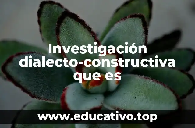 Investigación dialecto-constructiva que es